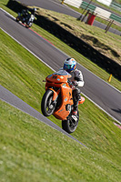 Middle Group Orange Bikes